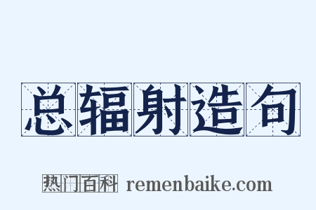 总辐射造句是什么意思的图片